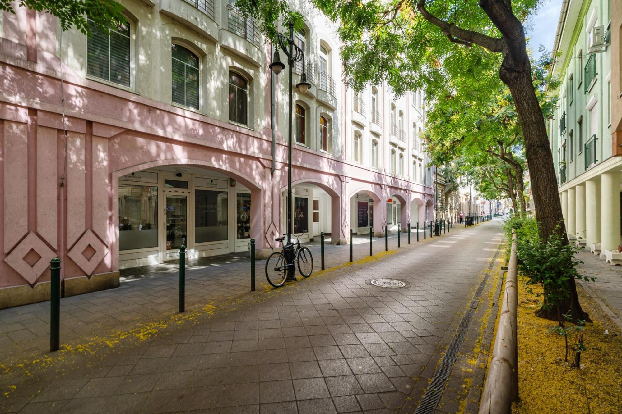 Angel With Free Garage Parking Apartman Budapest